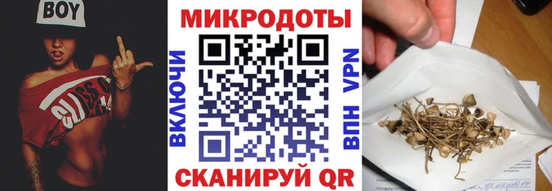 Галлюциногенные грибы MAGIC MUSHROOMS  Купить закладки  Оленегорск 